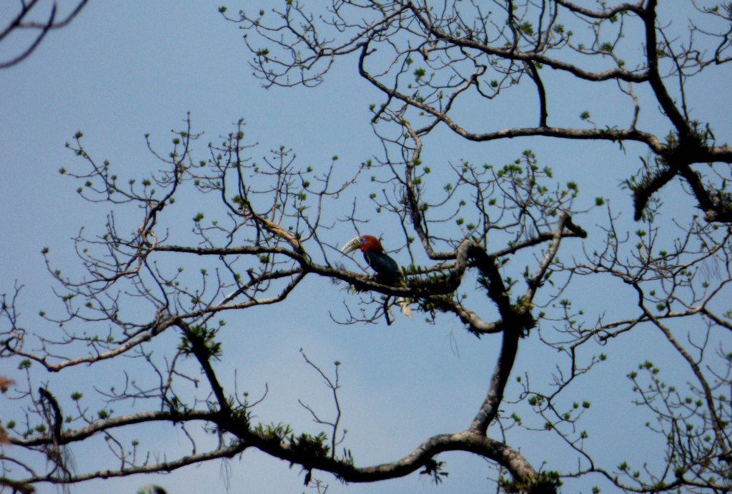 Hunt for Treasure –&nbsp;II